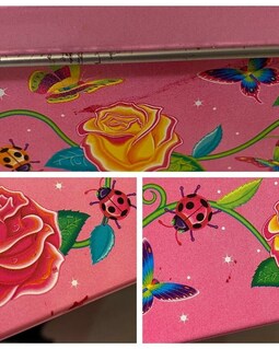 Vintage Lisa Frank Kittens Flowers Butterflies Jumbo Empty