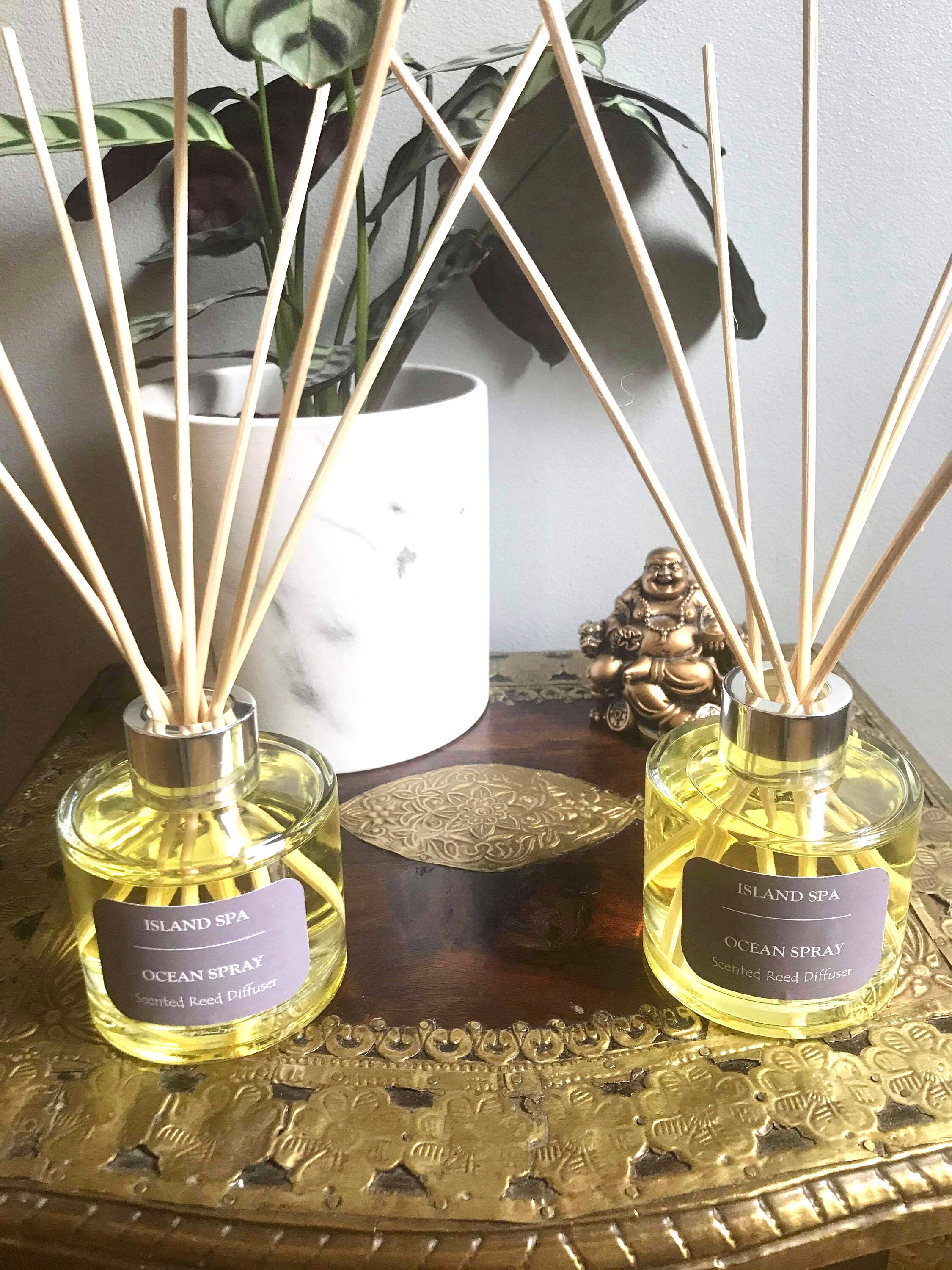 Luxury Highly Scented Reed Diffuser 100ml Reed Diffuser Etsy