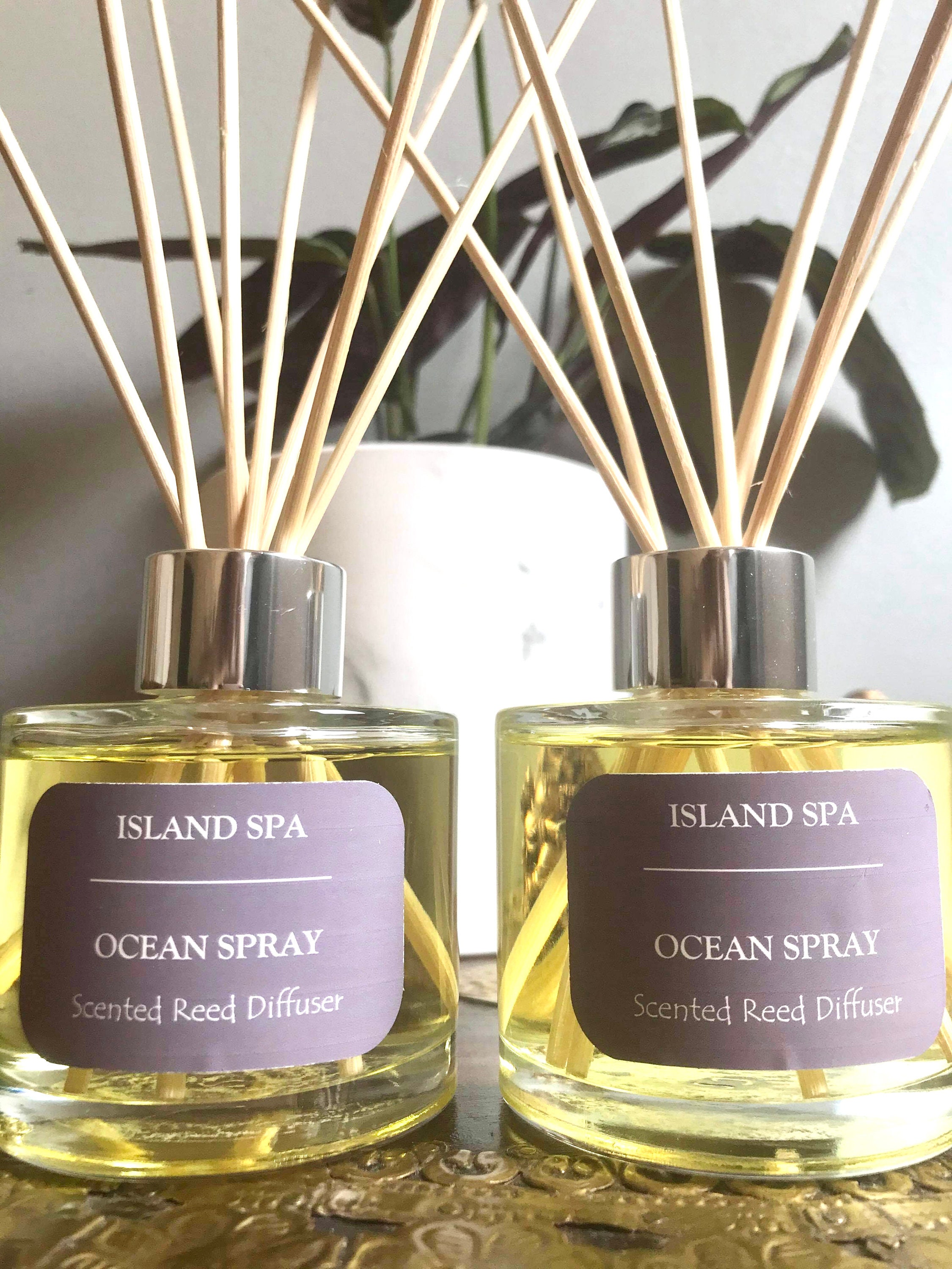 travel reed diffuser