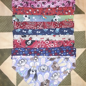 Bandanas médias para cães sobre a coleira
