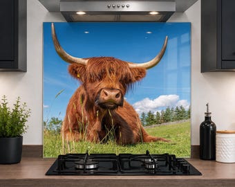 Printed Glass Kitchen Splashback 6mm Toughened Heat Resistant Hob Design No 2058
