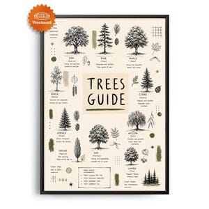 May include: A framed educational poster titled TREES GUIDE featuring black ink illustrations of various tree species including oak, pine, maple, birch, cedar, spruce, willow, poplar, ash, and linden, with descriptive text and small botanical icons.