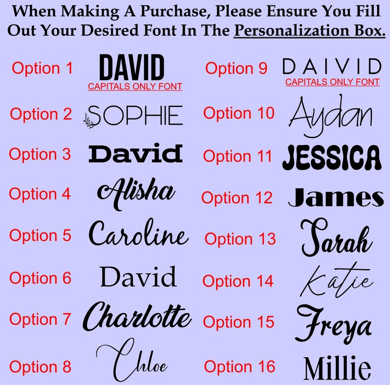 May include: A chart of 16 different font styles for names, with each style labelled with a number. The names include David, Sophie, Alisha, Caroline, Charlotte, Chloe, Aydan, Jessica, James, Sarah, Katie, Freya, and Millie.
