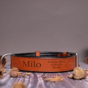 Collier pour chien en cuir véritable gravé personnalisé, collier personnalisé en cuir noir et marron personnalisé, cadeau chien, collier réglable, collier pour animal de compagnie