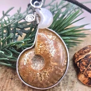 Nature Flashy Ammonite Moonstone Moon Wire Wrapped Pendant Necklace