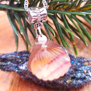 Nature Rainbow Fluorite Shell With Star Pendant Necklace
