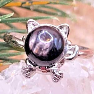 May include: A silver ring with a black cat charm. The cat's eyes are made of a dark, iridescent stone.
