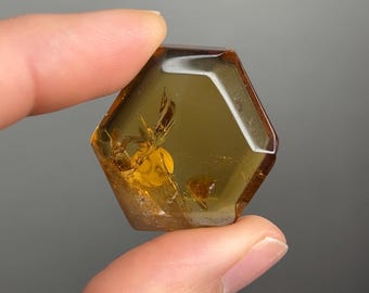 Zambia Citrine Hexagon #1