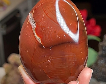 Red Carnelian Agate Freeform #2