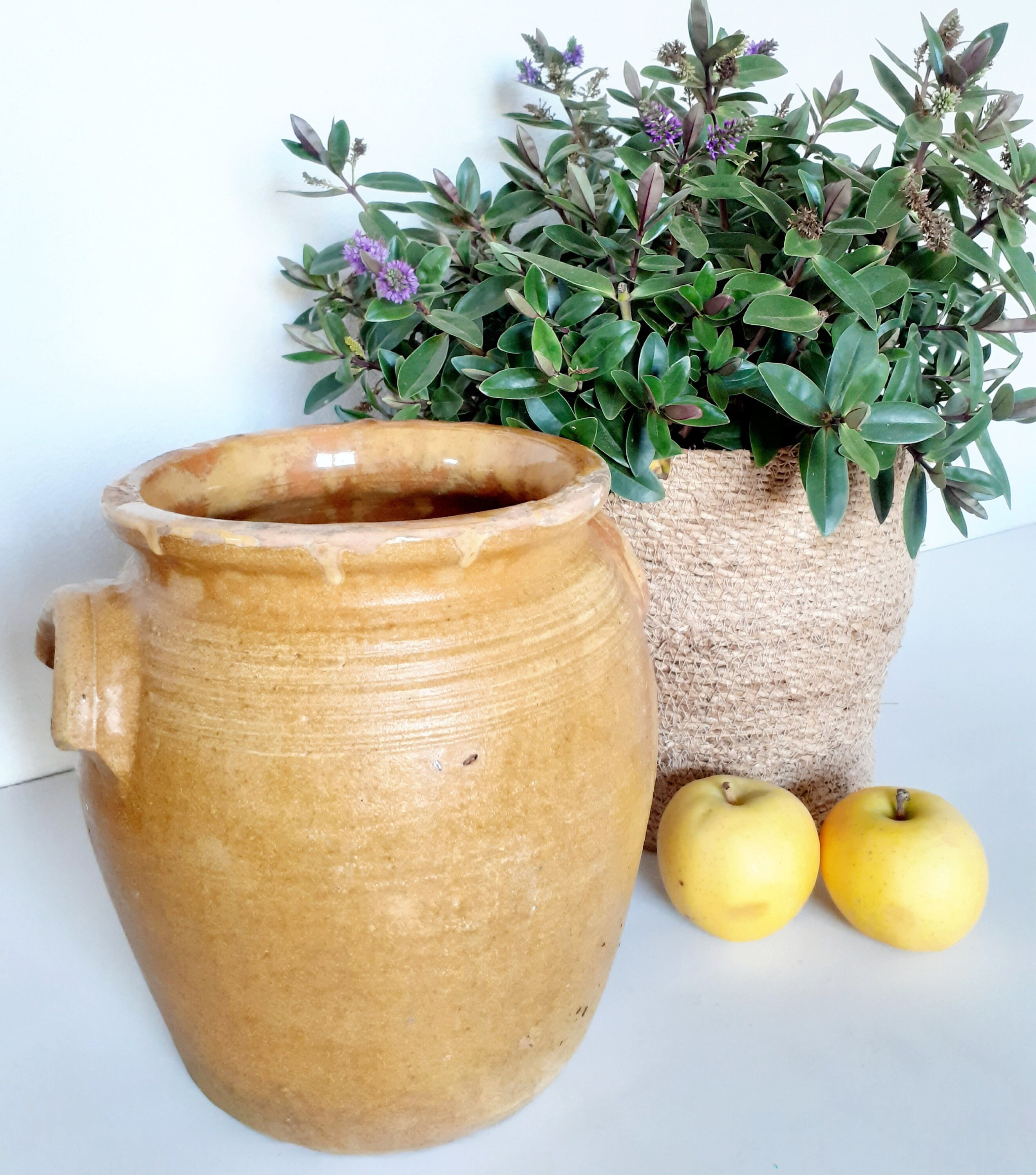 Français Confit Jaune Glacé Vintage