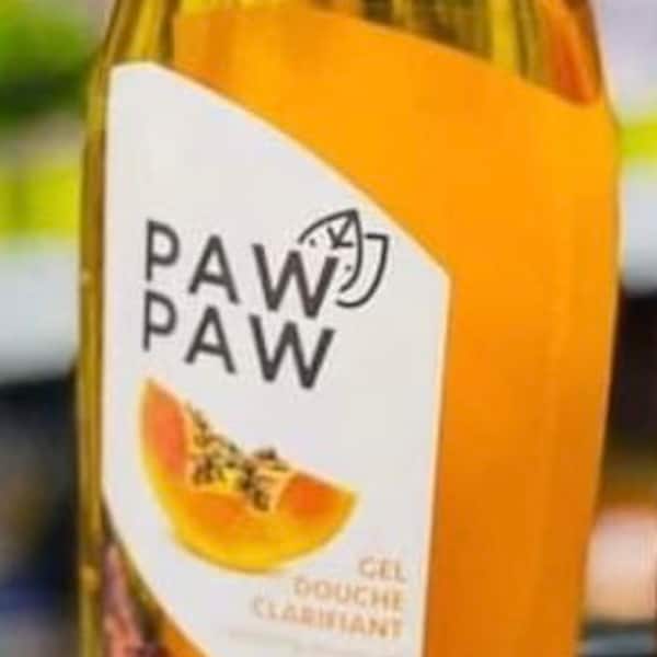 Paw Paw Seeds Etsy