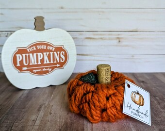 Mini Autumn Pumpkin