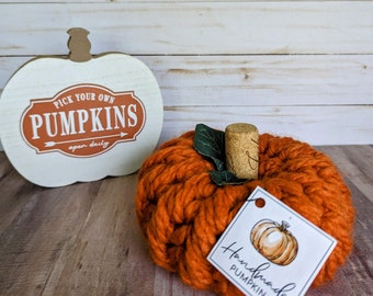 Medium Fall Pumpkin