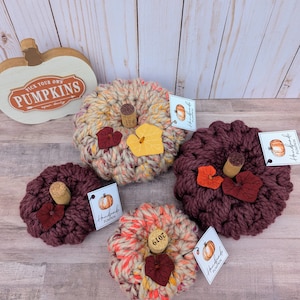 May include: Four crocheted pumpkins in various colors, including beige, orange, and burgundy. Each pumpkin has a cork stem and a small leaf accent. The pumpkins are arranged on a wooden surface with a sign that reads "Pick Your Own Pumpkins".
