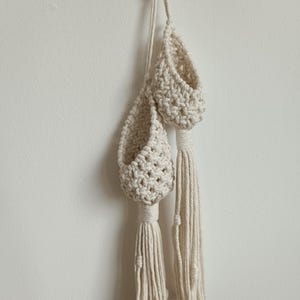 Air plant double holder