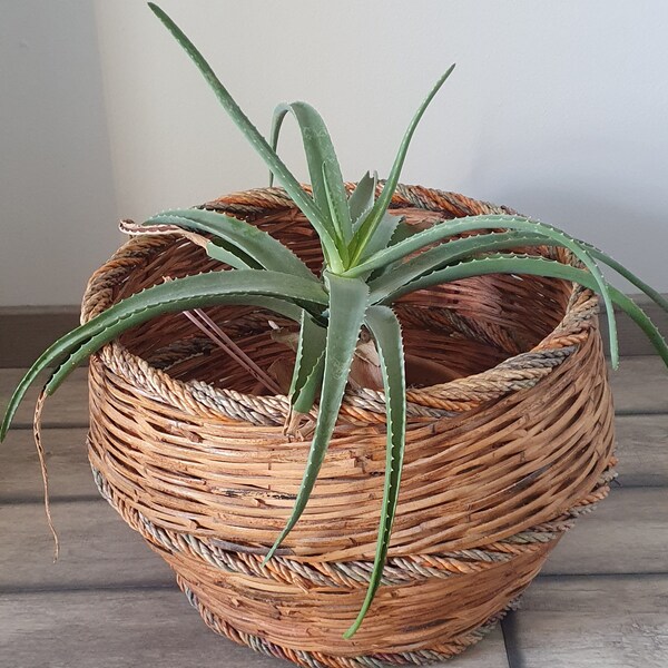 Panier en Bambou, Italie, 1960s en vente sur