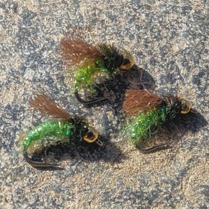 Caddis Pupa - 5 Pack