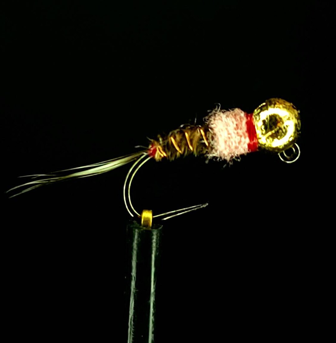 Jigged Frenchie Nymph - 5 Pack - Etsy