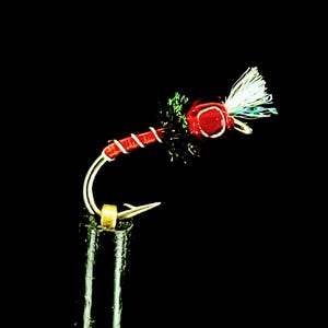 Rojo Midge - 5 Pack