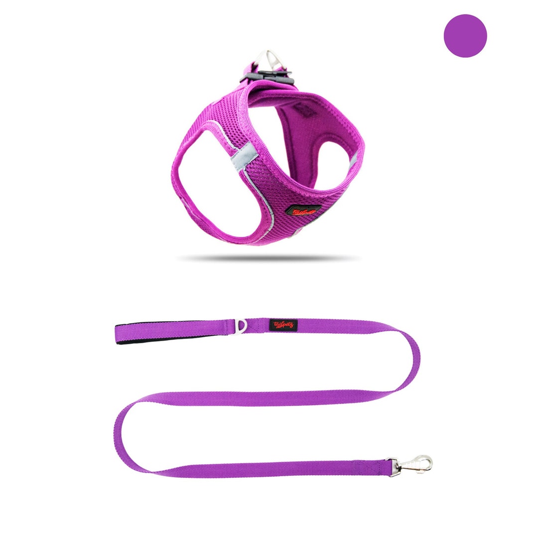 Dog Harness Set Small Dog Harnesss Dog Harness Leash Etsy