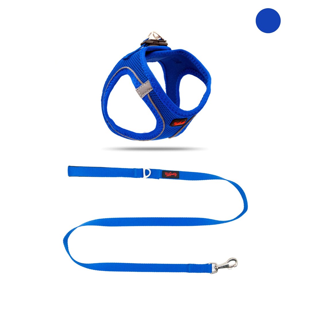 Dog Harness Set, Small Dog Harnesss, Dog Harness Leash, Girl,boy Dog