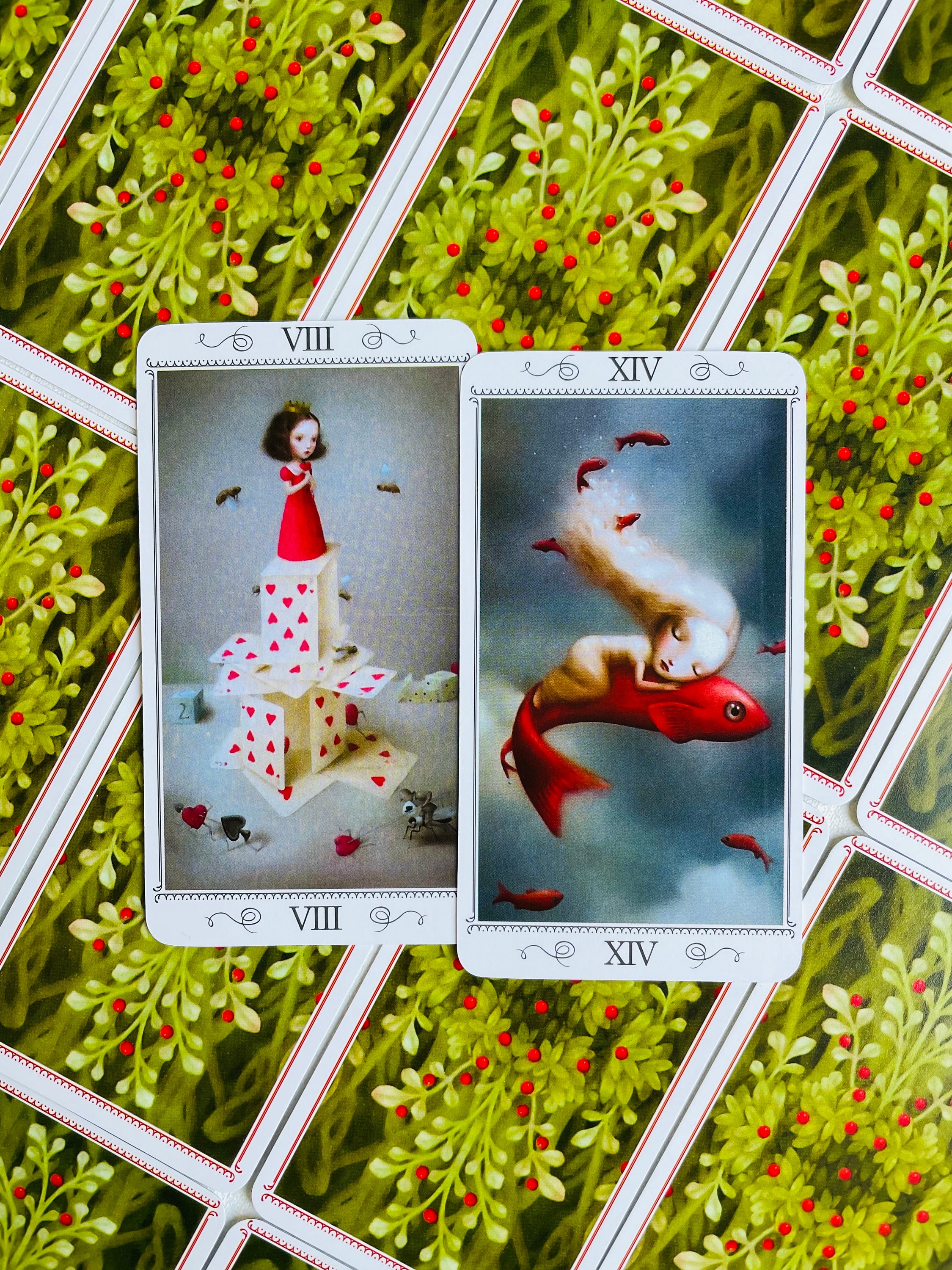 Nicoletta Ceccoli Tarot 78 Cards Deck,tarot,tarot Deck,tarot