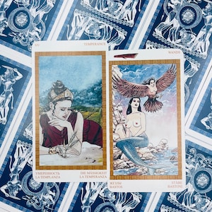 May include: Two tarot cards, one with a woman pouring water from a golden pitcher into a cup, and the other with a mermaid with a bird on her head. The first card is labeled "Temperance" and the second card is labeled "Wands".
