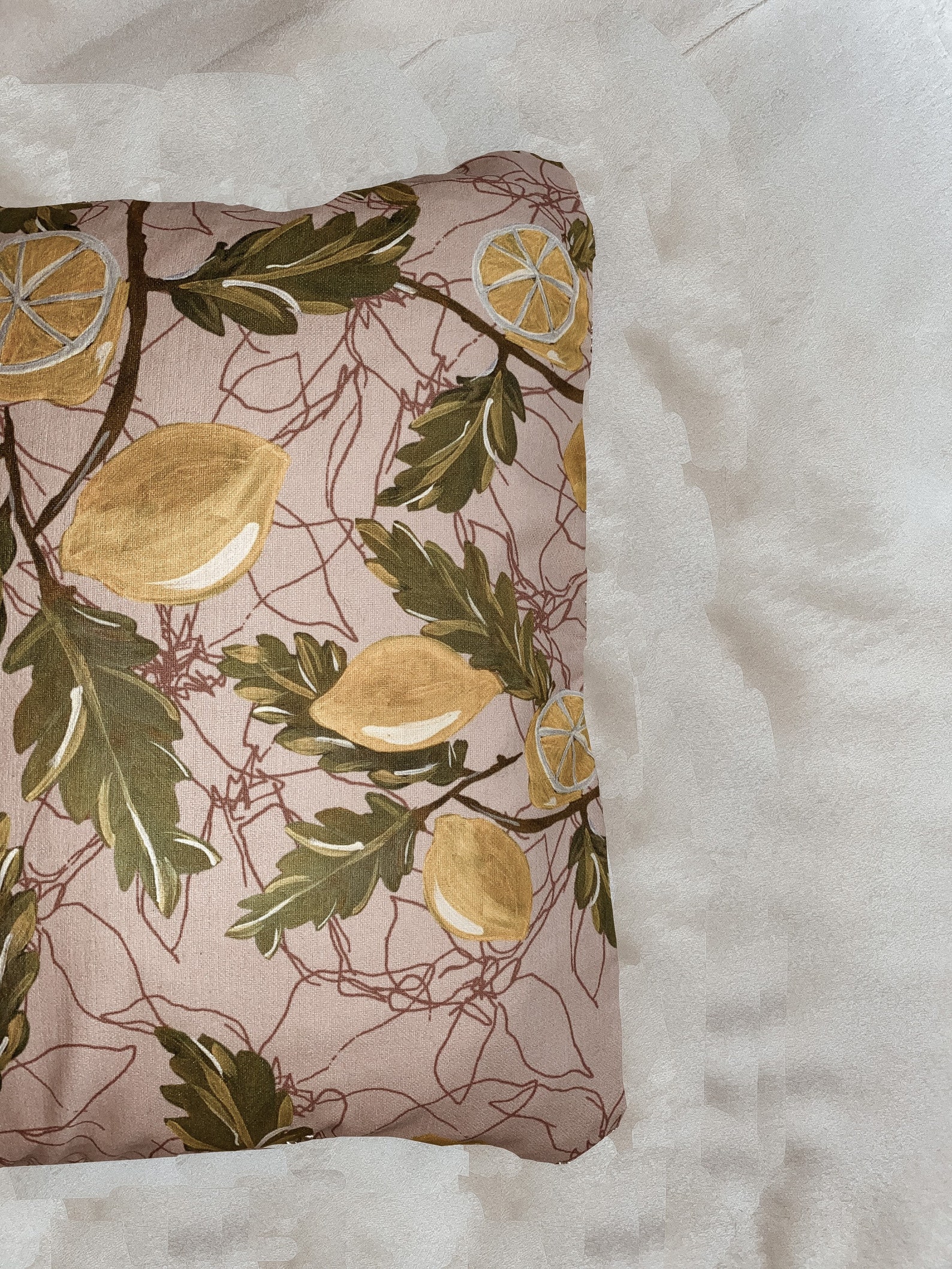 When Life Gives You Lemons Decorative Cushion 35x35 cm Etsy