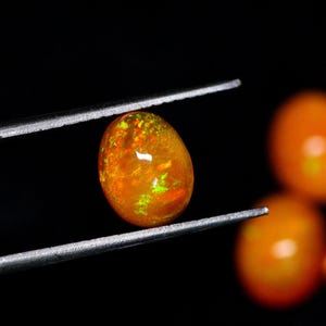 Pode incluir: Um close-up de uma gema de opala laranja brilhante com flashes verdes e vermelhos. A opala tem formato oval e está sendo segurada por uma pinça.