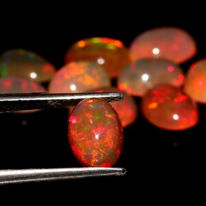 May include: A close-up of a red opal gemstone held in tweezers. The opal is oval-shaped and has a fiery red color with flashes of green and yellow.
