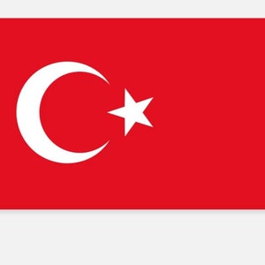 Può includere: Una bandiera rossa con una mezzaluna bianca e una stella al centro.