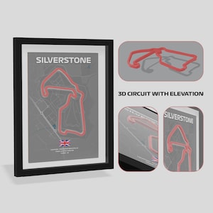 Silverstone 3d Circuit Wall Art - Hand Made - F1 track