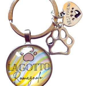 Lagotto romagnolo sleutelhanger kleurrijk cadeautip afbeelding 2