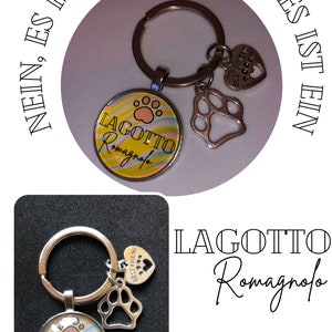 Lagotto romagnolo sleutelhanger kleurrijk cadeautip afbeelding 5