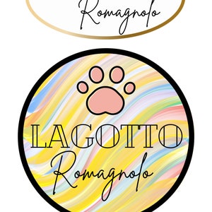 Lagotto romagnolo sleutelhanger kleurrijk cadeautip afbeelding 3