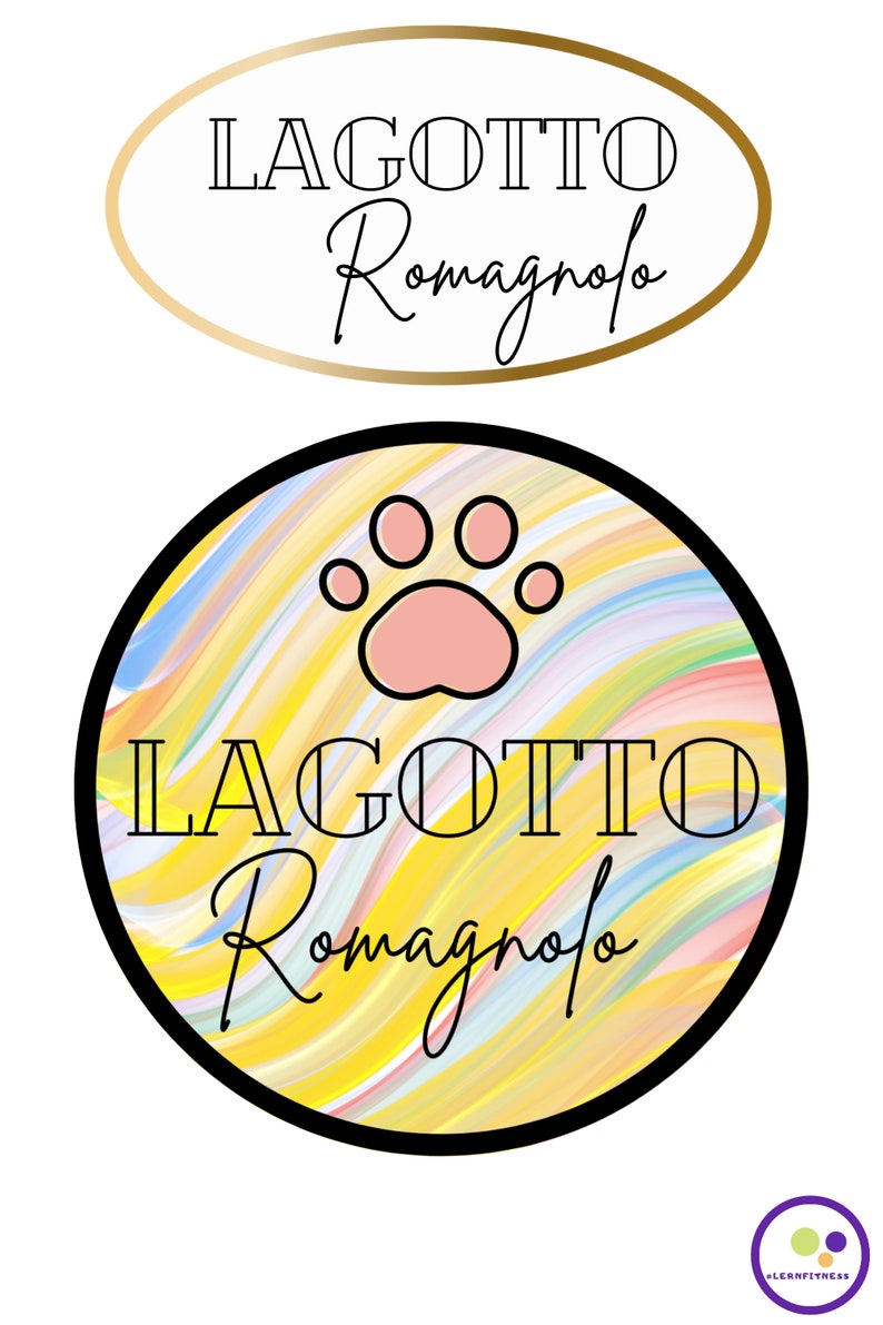 Lagotto romagnolo sleutelhanger kleurrijk cadeautip afbeelding 3