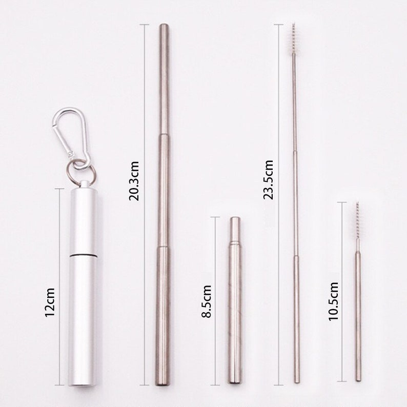 Telescopic Straw Reusable Straw Collapsible Straw Metal Straw Brush & Case UK Silver/Silver straw