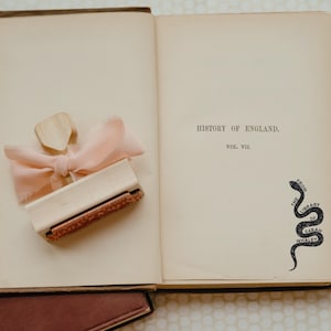 Puede incluir: Un libro antiguo abierto con el t&iacute;tulo "History of England" y un sello decorativo con un lazo rosa. El libro tiene una cubierta marr&oacute;n oscuro y el sello tiene un mango de madera y una base rectangular. Ilustraci&oacute;n de serpiente.