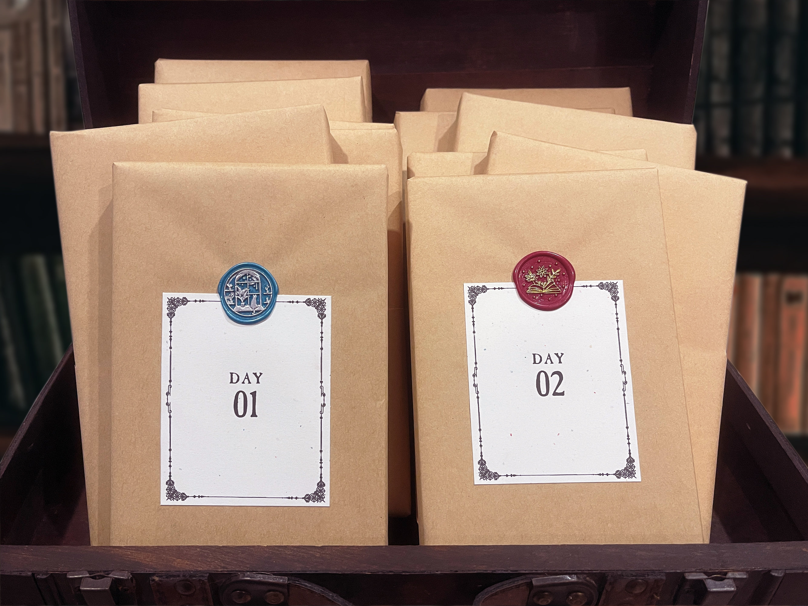 Book Advent Calendar -  12 Days of Blind Date With A Book - You Pick the Genre - Handpicked by a Bookseller - Book Lover Gift, Bookish Gift