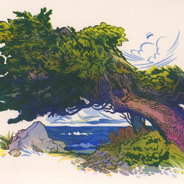 Monterey Pine Risograph Print