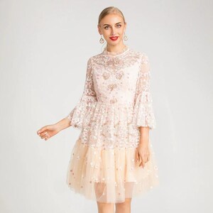 Needle & thread embroidered bodice tulle skater dress in rose online