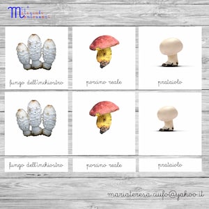 PDF stampabile Nomenclature Montessori "funghi commestibili"