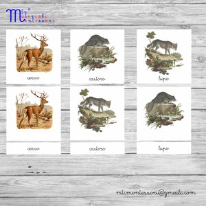 Printable PDF illustrated nomenclatures "forest animals"