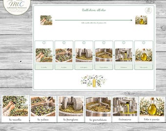 Può includere: Una tabella educativa intitolata Dall'oliva all'olio che illustra il processo di produzione dell'olio d'oliva. Presenta sei fasi sequenziali: raccolta, pulizia, frangitura, gramolatura, estrazione e imbottigliamento, con immagini e didascalie in italiano.
