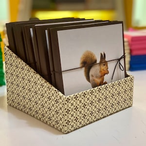 Raccoglitore per nomenclature