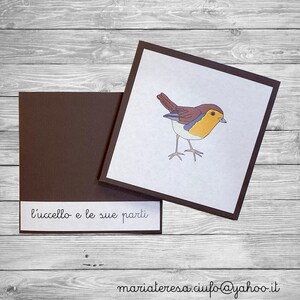 Nomenclature Montessori “l’uccello e le sue parti”