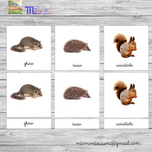 PDF Stampabile Nomenclature Montessori "Animali che vanno in letargo"