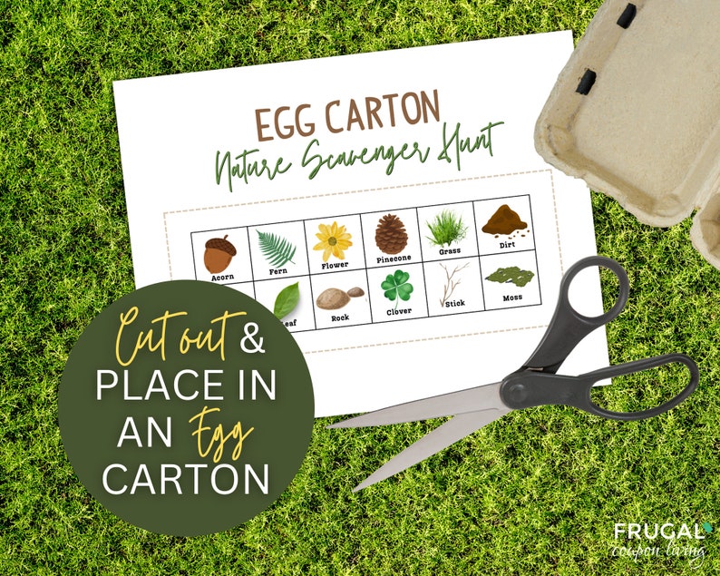 Egg Carton Scavenger Hunt Printable Printable Nature Etsy