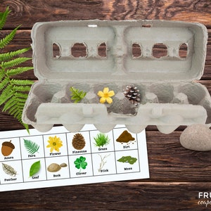 Egg Carton Scavenger Hunt Printable | Printable Nature Scavenger Hunt for Kids | Outdoor Scavenger Hunt | Kids Nature Scavenger Hunt List