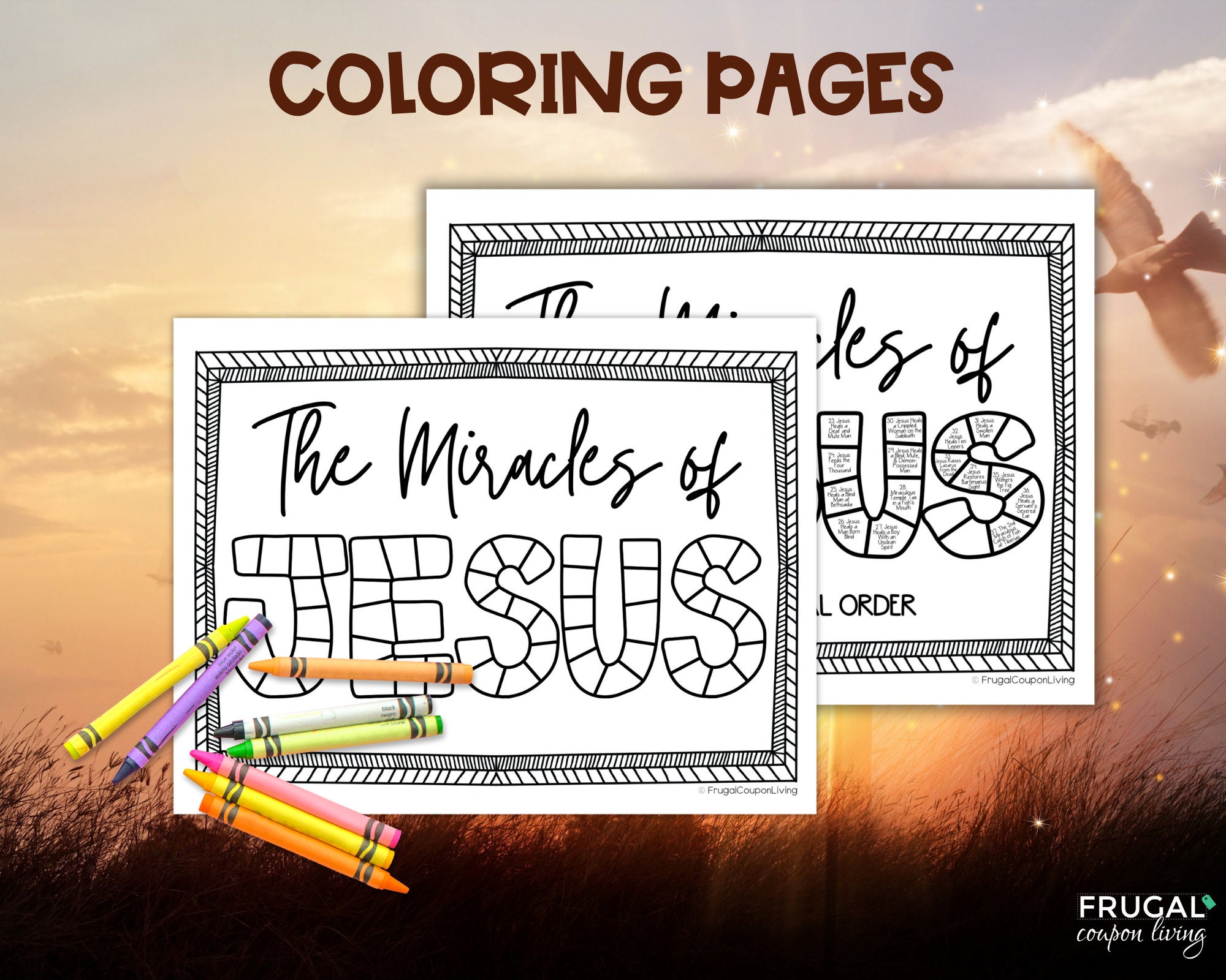37 Miracles of Jesus in Chronological Order Printable Activity Pack ...